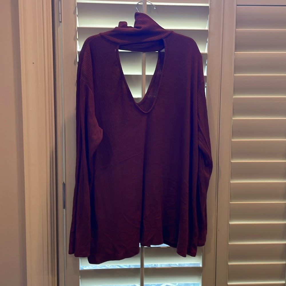 Long, Flowing Turtle Neck. - image 1